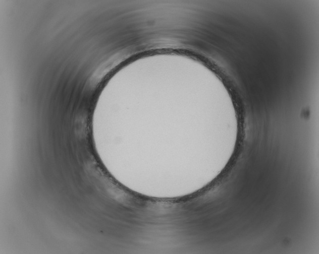 X0000113200873200910221037