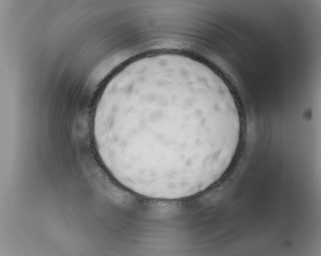X0000113200874200910221037