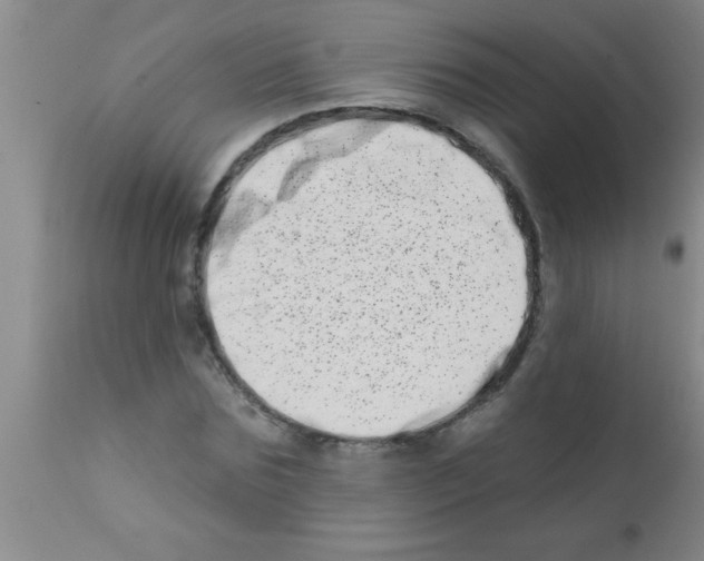 X0000113200875200910221037