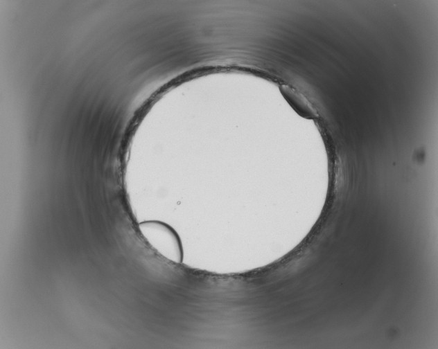 X0000113200876200910221037