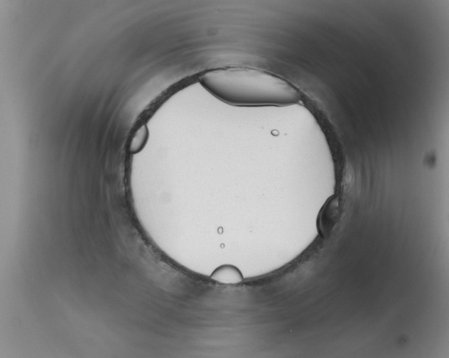 X0000113200877200910221037