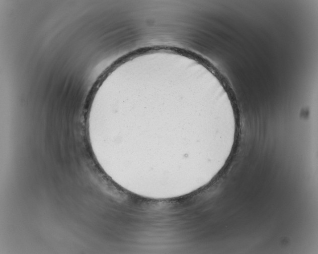 X0000113200879200910221037