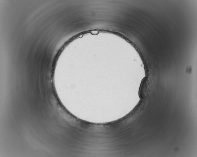 X0000113200880200910221037