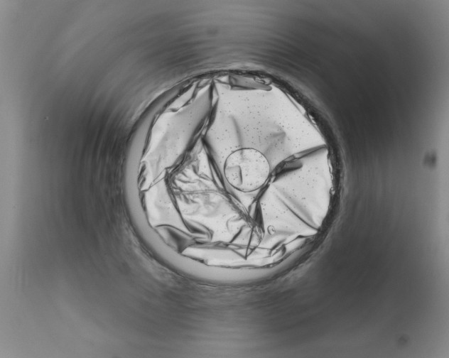 X0000113200881200910221037