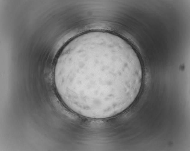 X0000113200882200910221037