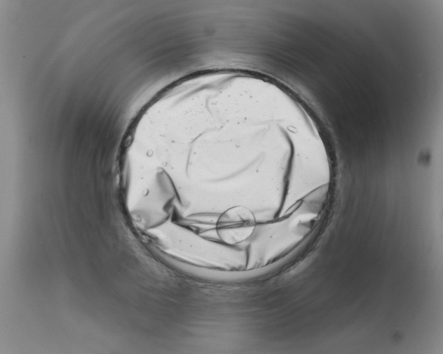 X0000113200885200910221037