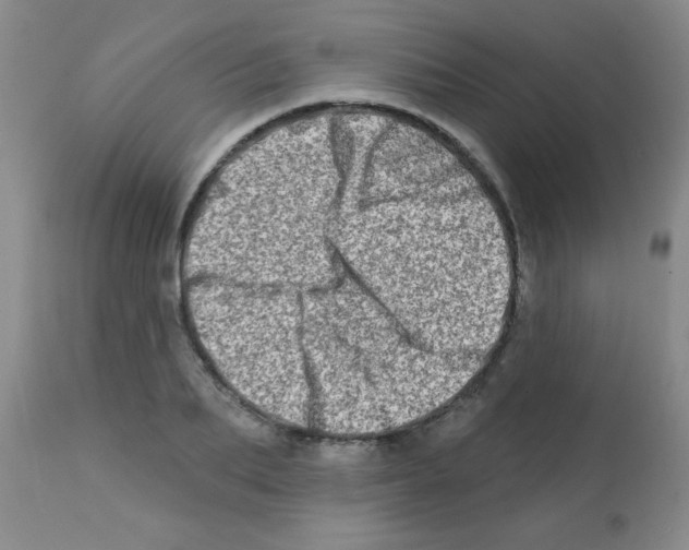 X0000113200887200910221037