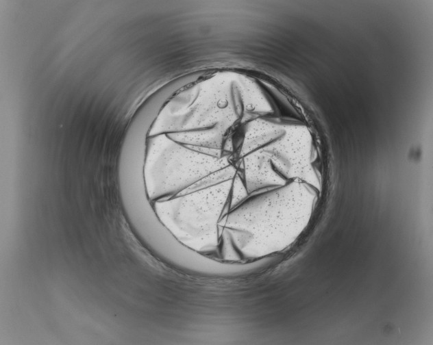 X0000113200889200910221037