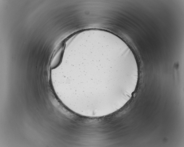 X0000113200892200910221037