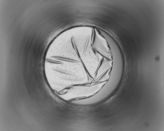 X0000113200893200910221037