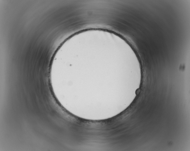 X0000113200895200910221037