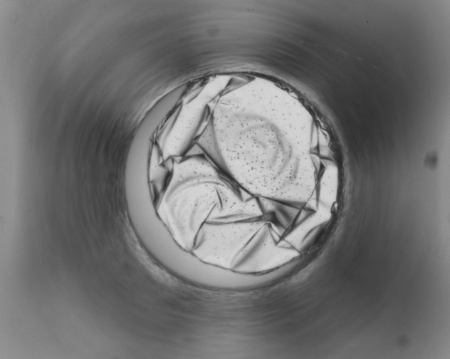 X0000113200897200910221037