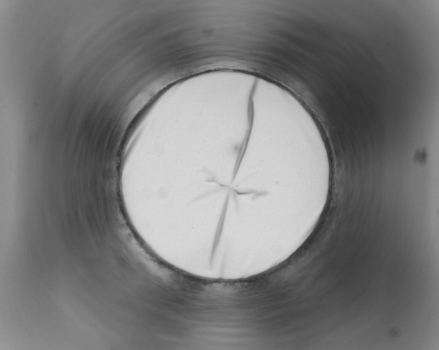 X0000113200898200910221037