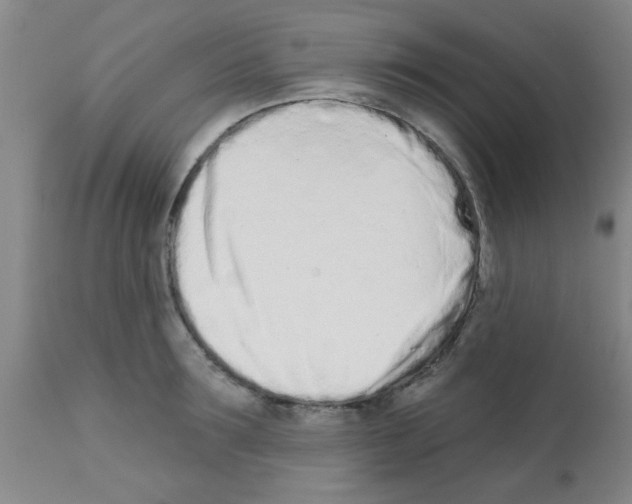 X0000113200899200910221037
