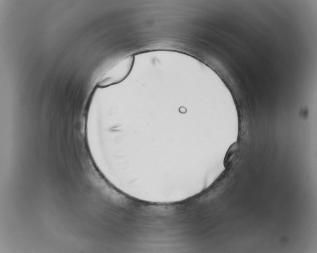 X0000113200900200910221037