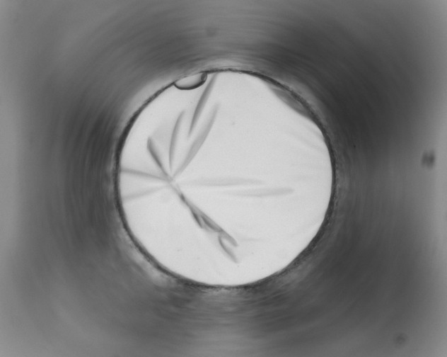 X0000113200902200910221037
