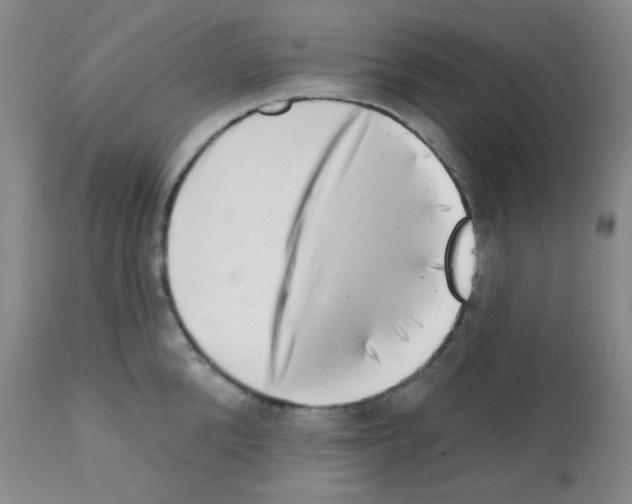 X0000113200904200910221037