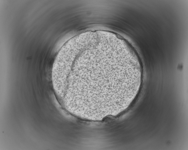 X0000113200905200910221037