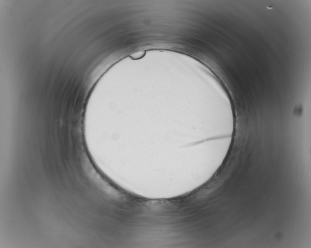 X0000113200906200910221037