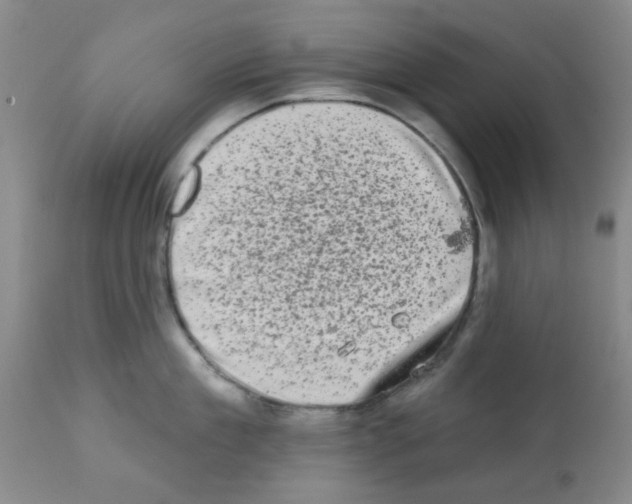 X0000113200909200910221037