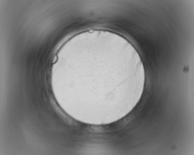 X0000113200911200910221037