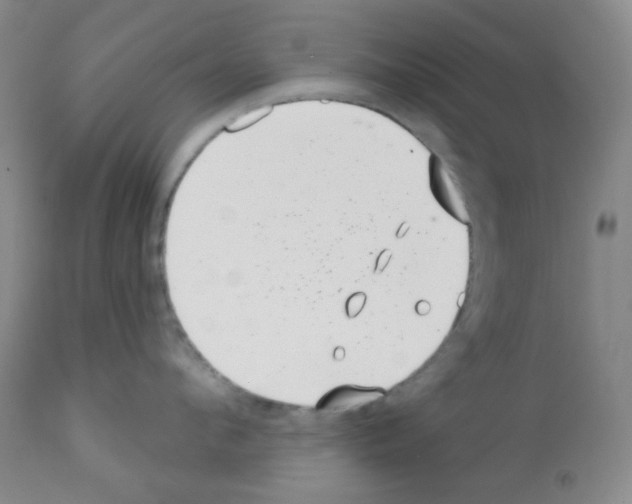 X0000113200912200910221037