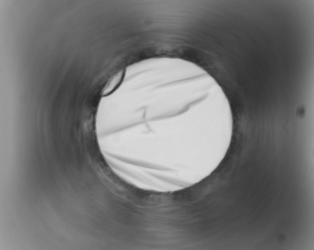 X0000113200914200910221036