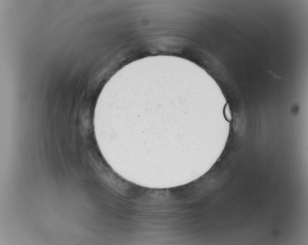 X0000113200915200910221036