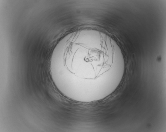 X0000113200916200910221036