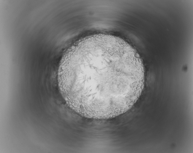 X0000113200917200910221036