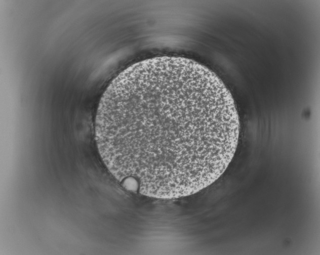 X0000113200918200910221036