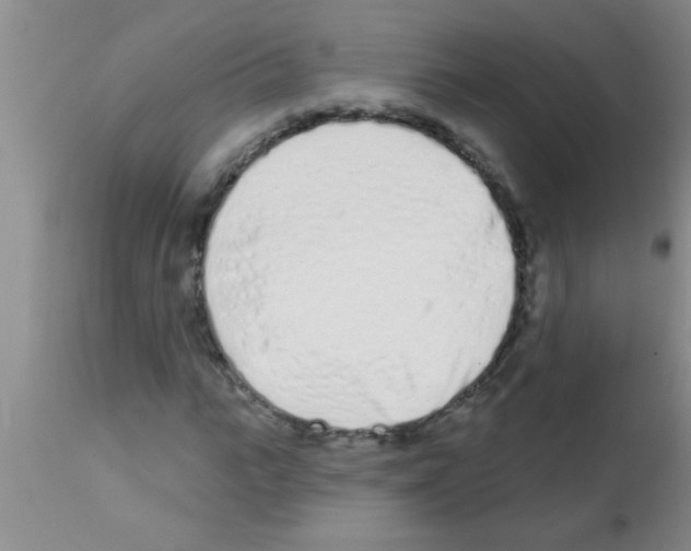 X0000113200919200910221036