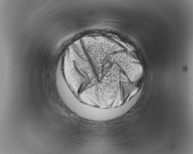 X0000113200920200910221036