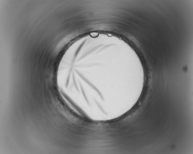 X0000113200922200910221036