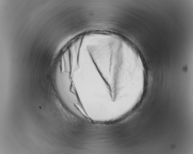 X0000113200925200910221036