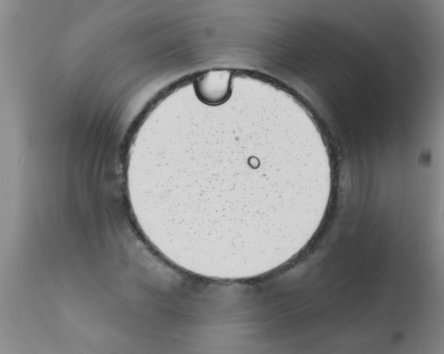 X0000113200926200910221036