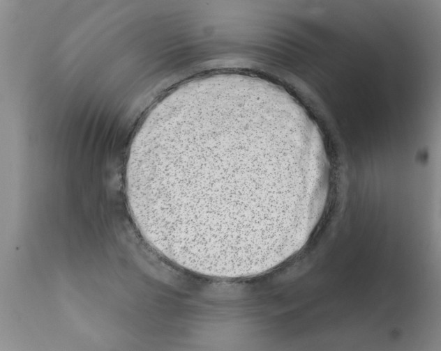 X0000113200929200910221036