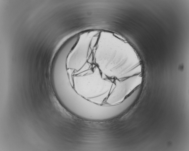 X0000113200932200910221036
