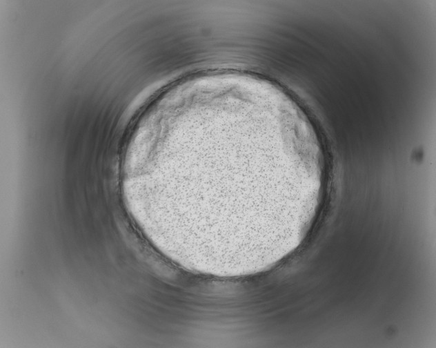 X0000113200933200910221036