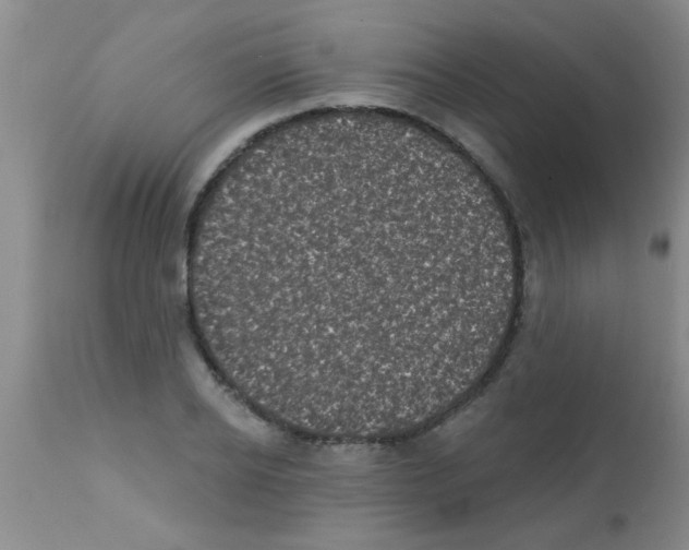 X0000113200934200910221036