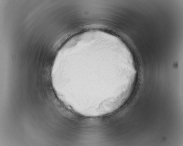 X0000113200937200910221037