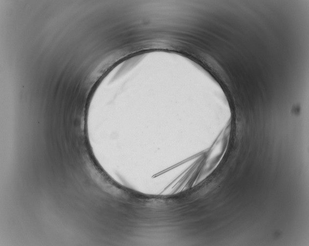 X0000113200938200910221037
