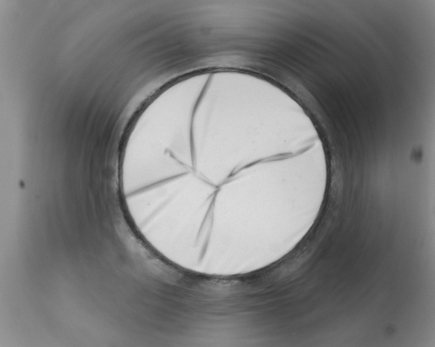 X0000113200939200910221037