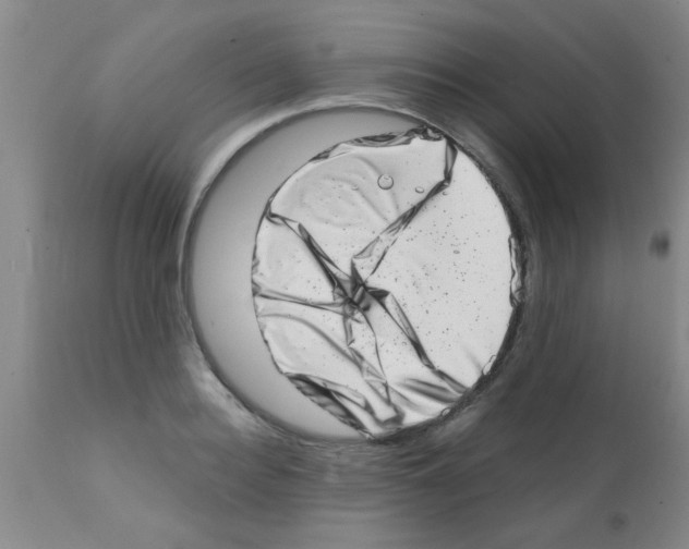 X0000113200940200910221037