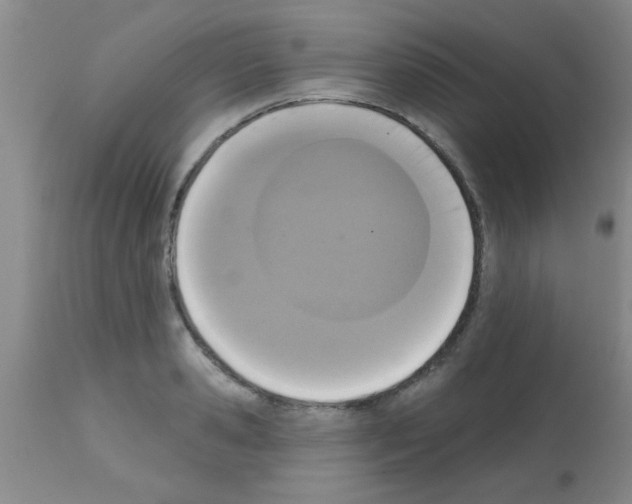 X0000113200941200910221037