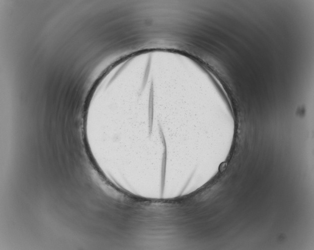 X0000113200942200910221037