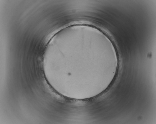 X0000113200945200910221037