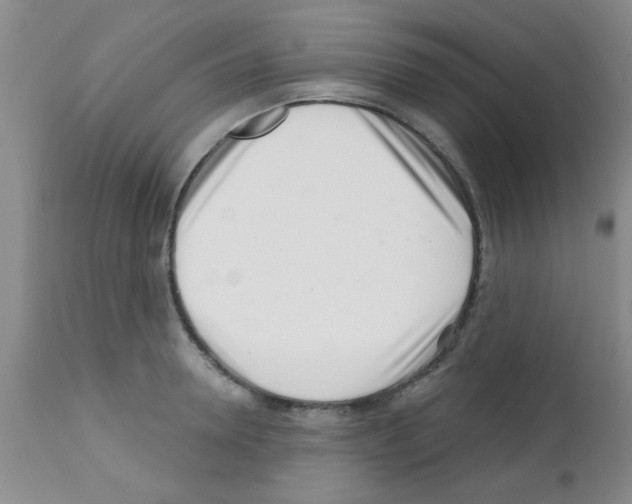 X0000113200946200910221037