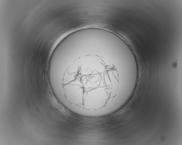 X0000113200948200910221037