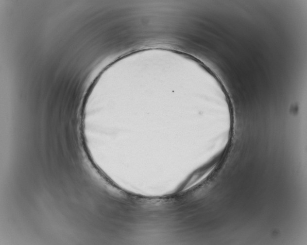 X0000113200949200910221037